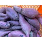  есть перевод .. ..( мытье ) Kumamoto префектура производство 10kg размер не выбор другой доставка отдельно другой товар .. включение в покупку не возможно | запад . san. Satsuma клубень 