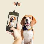 [SALE30%OFF*KIKKERLAND]Dog Treat Selfie Clip KDIG01 Kicker Land собака уход собственный .- зажим собака домашнее животное фотосъемка 