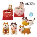 zcb-81471-76-set[SHIBA*HACHI Complete 6 позиций комплект ]SHIBA*HACHI декоративный элемент reconcombre темно синий темно синий bru предварительный заказ 2027 год 1/ сверху [ отметка 5 раз ]