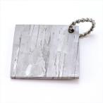 セイムチャン 隕石 8.3g パラサイト