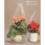 [ горшок для ] вставка имеется половина прозрачный [ усиленный горшок пакет ] jumbo 100 листов входит ×5 пакет [500 листов ]0.025×(390mm+110mm)×760mm / пачка HD поли echi Len [ местного производства рассада * растение в горшке для усиленный винил пакет ]