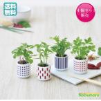 おちょこで薬味栽培セット ４個セット しそ/唐辛子/わさび菜/三つ葉  母の日 父の日 ギフト 送料無料　GD890-01/GD890-02/GD890-03/GD890-04
