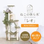 フェイクグリーン付き キャットタワー 据え置き型  スリム おしゃれ おすすめ シンプル 爪とぎ 隠れ家付き 木製 階段状