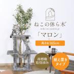 フェイクグリーン付きキャットタワー...