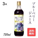 【公式】ブルーベリージュース720ml 100％ 3本セット 野田ハニー ブルーベリー ジュース フルーツジュース　送料無料