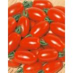  мини помидоры Aiko реальный сырой рассада 9cm pot Revue . написать дополнение .geto