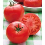  персик Taro деталь (takii вид рассада ). семена 20 шарик 