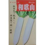  Wakayama дайкон ... . земля овощи семена .. белый дайкон 