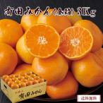  новогодние каникулы .. похоже 2026 гурман бесплатная доставка Arita мандарин ( золотой коробка ) 3kg фрукты фрукты мандарин mi can Arita мандарин меласса . Wakayama префектура AM-3G