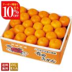  скидка за ранний заказ подарок по случаю конца года . лет . зима подарок подарок 2025 бесплатная доставка фрукты фрукты .. было использовано Wakayama префектура производство Arita мандарин примерно 2.8kg мандарин меласса .mi can .. десерт местного производства B13-1B