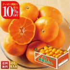  скидка за ранний заказ подарок по случаю конца года . лет . зима подарок подарок 2025 бесплатная доставка фрукты фрукты .. было использовано Ehime мандарин примерно 4.5kg мандарин меласса .mi can .. десерт местного производства еда B13-3