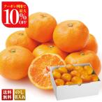  скидка за ранний заказ подарок по случаю конца года . лет . зима подарок подарок 2025 бесплатная доставка фрукты фрукты .. было использовано .... страстность мандарин группа мандарин примерно 2.5kg Wakayama префектура производство мандарин B13-6