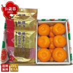 ショッピング干しいも 早割 お歳暮 御歳暮 冬ギフト プレゼント 2025 送料無料 フルーツ 果物 くだもの 焼き干しいも と 熊本県産 夢未来みかん セット みかん 蜜柑 ミカン 国産 B14-7