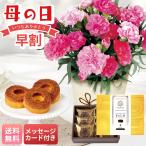 早割 母の日 プレゼント 2026 母の日ギフト 花 ギフト 生花 鉢植え メッセージカード カーネーション ( ホットハート )と T.D.Early キャラメリゼバウム B40-1
