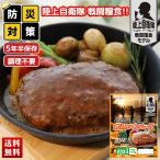 ショッピングハンバーグ 防災食 煮込みハンバーグ 保存期間5年半! 長期保存 調理不要 保存食 非常食 防災食品 災害用食品 セット 115g×20 送料無料 「B8-7」
