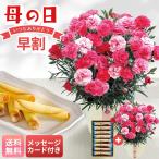 早割 母の日 プレゼント 2026 母の日ギフト 花 ギフト 生花 鉢植え メッセージカード カーネーション ( さくらもなか )と OIMO MERCI ラングドロール C40-1