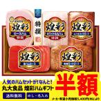 半額セール 50%OFF ※賞味期限08/22頃 お中元 御中元 夏ギフト プレゼント 暑中見舞い 2025 ギフト ハムギフト 詰め合わせ 丸大食品 煌彩ハムギフト DO-540