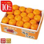  скидка за ранний заказ подарок по случаю конца года . лет . зима подарок подарок 2025 бесплатная доставка фрукты фрукты .. было использовано Wakayama префектура производство Arita мандарин примерно 2.5kg мандарин меласса .mi can .. десерт местного производства G13-2B