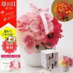 母の日 ギフト プレゼント 70代 60代 メッセージカード付き 2025 母の日ギフト フレグランス胡蝶蘭 (ピンク) 人感センサー付き 「FRPB-PK」