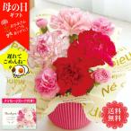 母の日 ギフト プレゼント 70代 60代 メッセージカード付き 2025 母の日ギフト アレンジメント（スイートピンク） 生花 花ギフト 「TA-3」