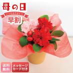 早割 母の日 プレゼント 2026 母の日ギフト 花 ギフト 生花 70代 60代 メッセージカード付き アレンジメント ( イチゴミルク ) 赤いカーネーション 造花 T-4