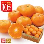  скидка за ранний заказ подарок по случаю конца года . лет . зима подарок подарок 2025 бесплатная доставка фрукты фрукты .. было использовано Ehime префектура производство сон . какой M кроме того, S размер всего примерно 3kg мандарин меласса .mi can B15-8