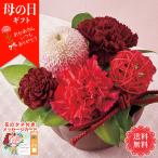 母の日 プレゼント 2024 母の日ギフト 花 ギフト アレンジ 菊 マム 生花アレンジメント（花てまり）「TA-7」