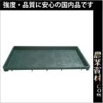 【安全興業】稚苗用育苗箱 56穴