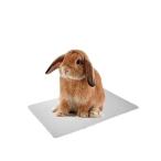 ひんやり クール つめたい アルミプレート アルミ 30×20cm 小動物 暑さ対策 ウサギ ハムスター ハリネズミ LB-248 区分N