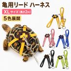 亀用 リード ハーネス 長さ2m XLサイズ カメ用 亀 散歩用 ペットリード お散歩 ハーネスベルト 脱走防止 小動物 ペット用品 区分N NP-145-XL