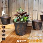 HATIMANIA горшок любитель золотая краска 3 номер шесть flat 3.5 номер . круг труба 3.5 номер . type 3.5 номер сделано в Японии Banko . бонсай горшок вода . выпадение ... керамика лес три традиция прикладное искусство бонсай суккулентное растение классификация 60Y