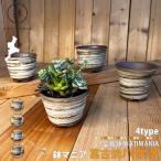 HATIMANIA горшок любитель кисть me3 номер шесть flat 3.5 номер . круг труба 3.5 номер . type 3.5 номер сделано в Японии Banko . бонсай горшок вода . выпадение ... керамика лес три традиция прикладное искусство бонсай суккулентное растение классификация 60Y