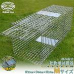 捕獲器 猫 アニマルトラップ トラップ 【Mサイズ】 駆除 捕獲 踏板式 捕獲機 動物 罠 保護 庭 農業 アニマルキャッチャー LB-201