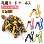 亀用 リード ハーネス 長さ1.5m Lサイズ カメ用 亀 散歩用 ペットリード お散歩 ハーネスベルト 脱走防止 小動物 ペット用品 区分N NP-145-L