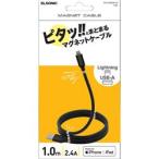 ELSONIC マグネットケーブル USB-A to Lightning 1m ECV-MAGAL10