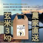 令和4年度産　新米　3kg　玄米　コシヒカリ　お米　おこめ　長野県　信州産　美味しい 立科町　たてしな