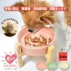 犬 早食い防止食器 陶器製 フードボウル 小型犬 中型犬 猫 スタンド