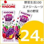 野菜生活 野菜生活100 エナジールーツ 紫の野菜 200ml×24本 野菜ジュース カゴメ