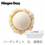 ハーゲンダッツ リッチミルク 業務用 2L