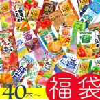 ショッピング野菜ジュース お年賀 福袋　紙パックドリンク 野菜生活 カゴメカルピス ジュース 野菜ジュース　機能性飲料 ビタミン