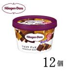 ハーゲンダッツ ミニカップ ショコラ デュオ 12個 haagen