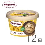 ショッピングハーゲンダッツ ハーゲンダッツ ミニカップ Green Craft 豆乳バナナショコラ 12個 kcou