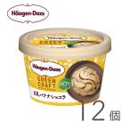 ショッピングハーゲンダッツ ハーゲンダッツ ミニカップ Green Craft 豆乳バナナショコラ 12個