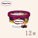ショッピングハーゲンダッツ ハーゲンダッツ ミニカップ ガナッシュショコラ 12個