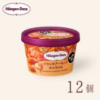 ハーゲンダッツ ミニカップ クランチアーモンドキャラメル 12個
