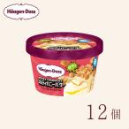 ハーゲンダッツ ミニカップ ROCKY CRUNCHY! ソルティハニーバター 12個