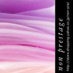  цвет заказ ( товар номер : clr-02)