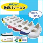 【単品】上履き バレーDX 教育シューズ