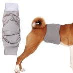 KUVEELA PET собака для ремень для животных самец собака для подгузники собака для трусы на подгузник мужчина . прогулка . выход салон .... уход departure . период "дышит" . водный хороший повторный 