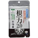 清水 園芸 植物用保水ポリマー 根力(NEJIKARA)2.0 30g